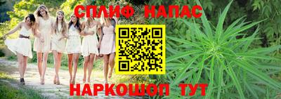 наркотики Новозыбков