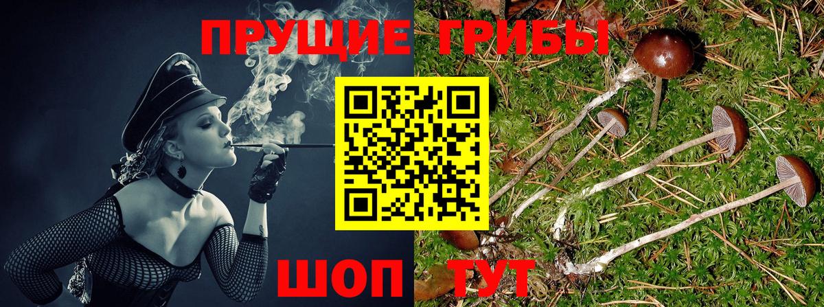 Галлюциногенные грибы ЛСД  Вход с VPN  Россошь  Псилоцибиновые грибы прущие грибы 
